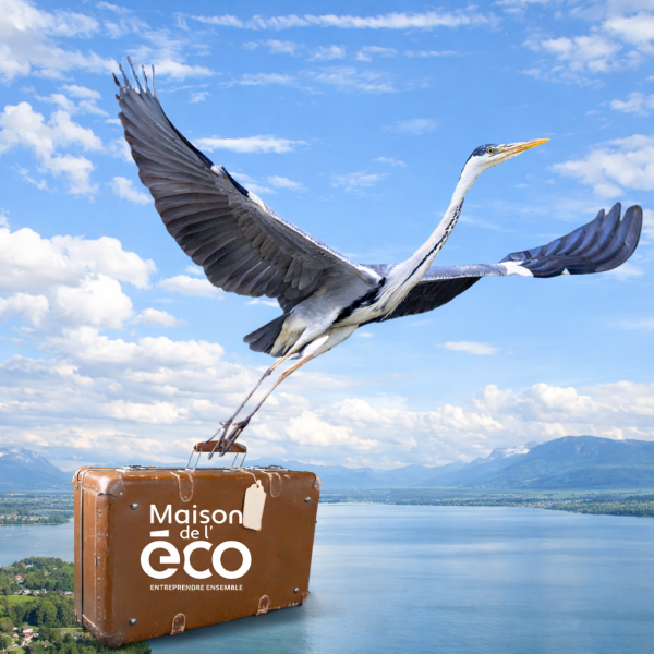 La Maison de l'Eco déménage