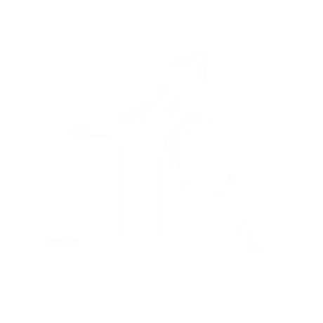 Accompagnement des collectivités en développement économique